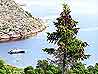 Вид со средней террасы Немецкого Кузова в сторону Вороньих островов
